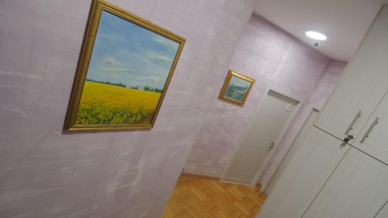 Stella Di Notte Vip Hostel เบลเกรด ภายนอก รูปภาพ